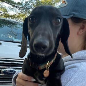 Meet your Posher, Elissa